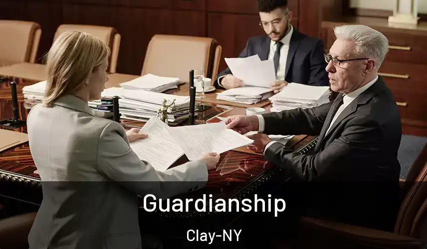  Guardianship Clay-NY