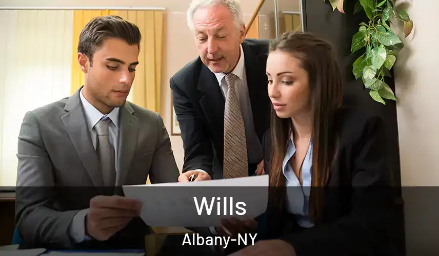  Wills Albany-NY